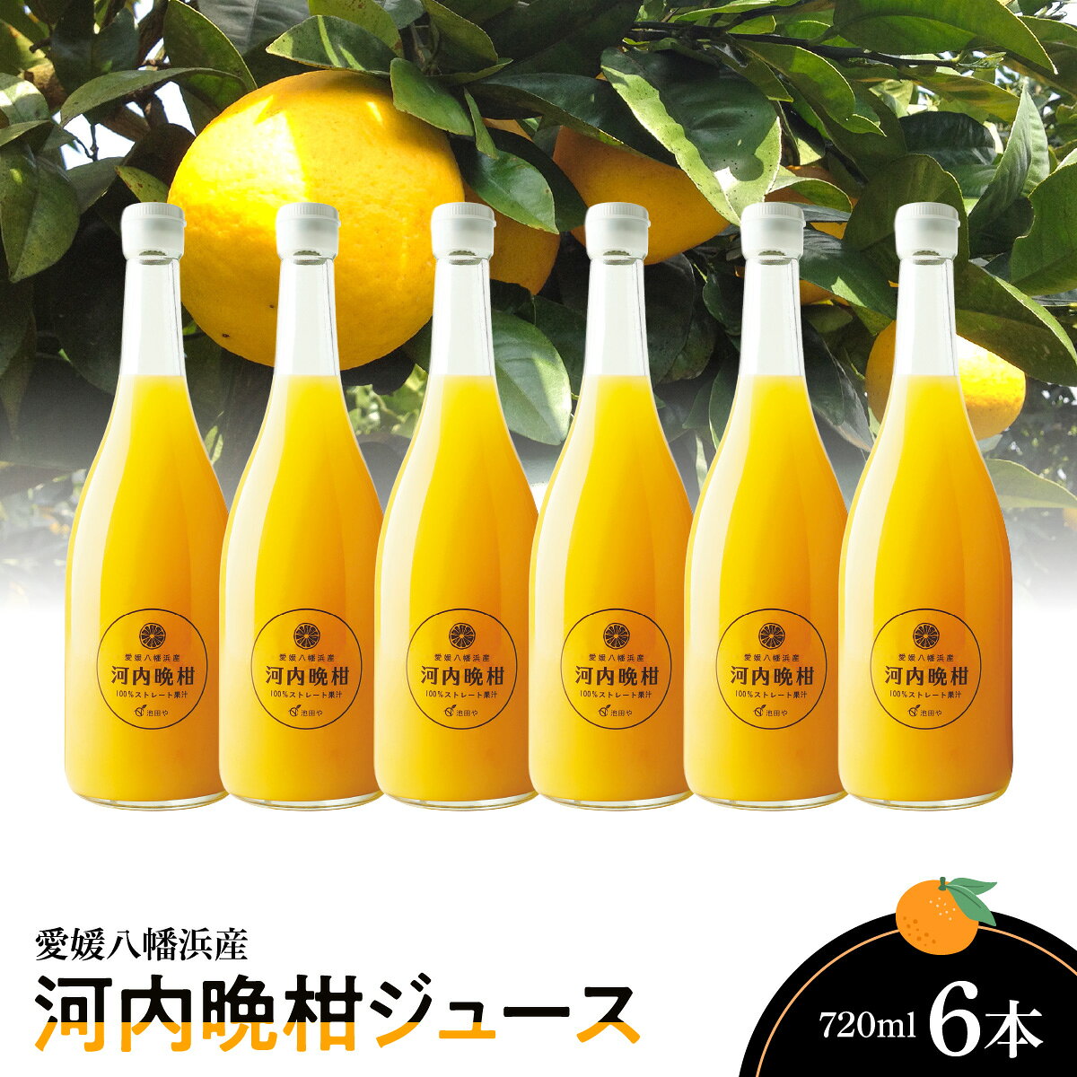 【ふるさと納税】河内晩柑ジュース720ml×6本【E56-64】_【1618485】 YWTAS054