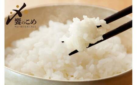 米 令和5年 石川県産米 5kg×4種 計20kg [中橋商事 石川県 宝達志水町 38600609]お米 こめ コメ 白米 精米 食べ比べ  20キロ