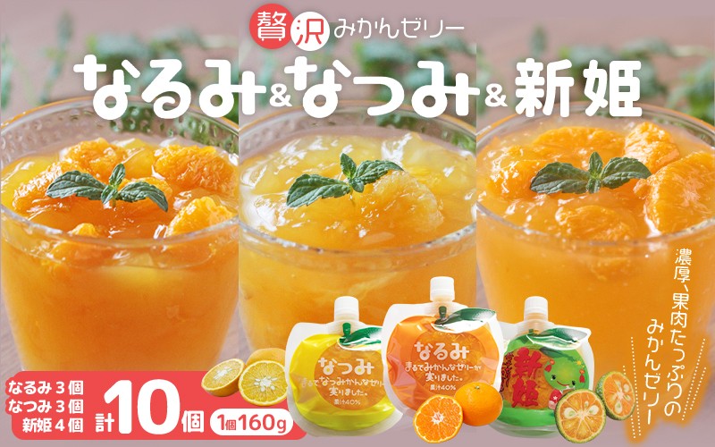 
            果肉入り 贅沢 みかんゼリー 3種 160g×10個 詰め合わせ 化粧箱なし ご家庭用 みかん ミカン 国産 フルーツゼリー デザート シャーベット スイーツ フルーツ 果物 くだもの おやつ なつみ なるみ 新姫 人気 おすすめ 三重県 熊野市【kmkn0067】
          