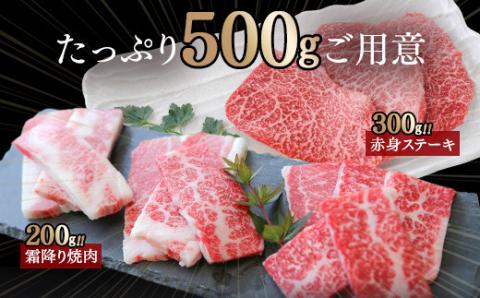 【カミチク 上村和牛】ステーキ＆焼肉セット500ｇ　黒毛和牛4等級以上〈1.6-8〉