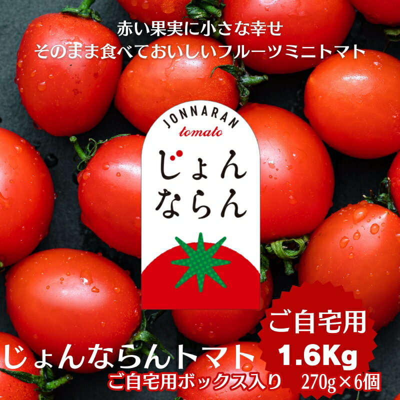 【ふるさと納税】モリヒロ園芸が育てたじょんならんトマト（ご自宅用ボックス） 野菜 ミニトマト サラダ 糖度高め 甘味 酸味 リコピン
