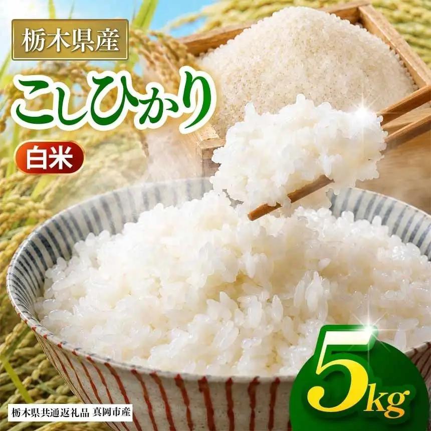 【栃木県共通返礼品】【令和８年度産】お米 米 コシヒカリ 5kg | 栃木県 那珂川町 送料無料 