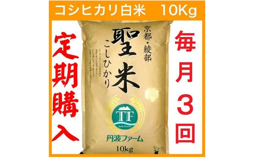 【令和6年産 新米】【定期便3回・毎月15日お届け】京都府産 コシヒカリ 白米 10kg×3回 定期便 お米 米 白米 精米 こしひかり 国産 京都 綾部