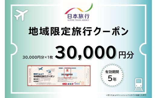 福井県敦賀市 日本旅行 地域限定旅行クーポン 30,000円 [017-a003]【敦賀市ふるさと納税】