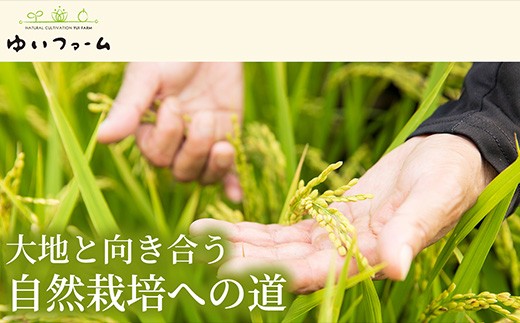 大地と向き合う自然栽培への道