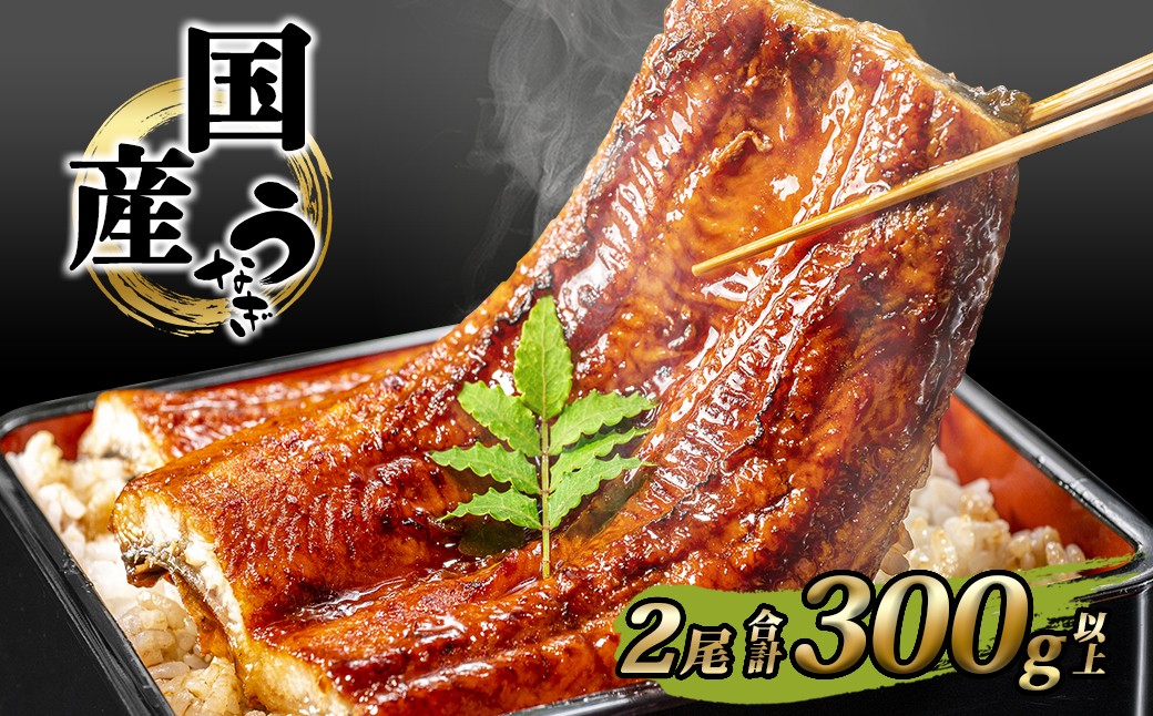 
                  国産 うなぎ 蒲焼き 2尾 計300g以上 鰻 ウナギ うなぎ蒲焼 うなぎ蒲焼き 蒲焼 うな重 ひつまぶし 人気 ランキング 簡易包装 タレ お茶山椒 ギフト 土用の丑の日 丑の日 魚 魚介 K2390
                