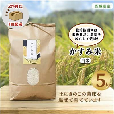 ふるさと納税 潮来市 【2ヵ月毎定期便】栽培期間中出来るだけ農薬を減らして作る かすみ米白米5kg全6回