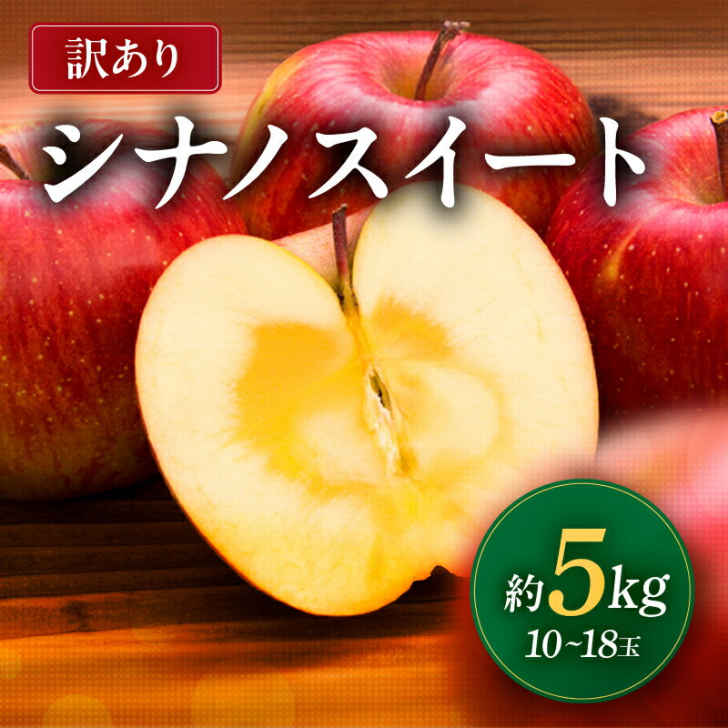 【ふるさと納税】 南信州産 シナノスイート 訳あり 約5kg 10～18玉 JAみなみ信州DMセンター飯田市 | シナノスイート 林檎 りんご アップル つがる ふじ 果物 フルーツ 南信州 送料無料 ふるさと納税 長野県 飯田市 K13