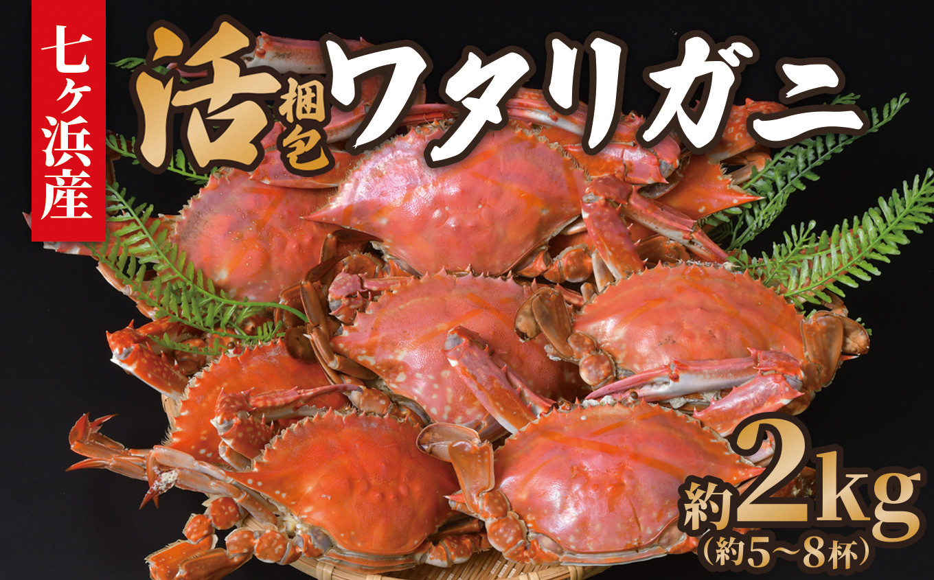 
            《先行予約》 七ヶ浜産 活 ワタリガニ  約2kg (5〜8杯)  梱包 ｜ 七ヶ浜町 漁協 かに カニ 蟹 渡り蟹 ボイル パスタ ガザミ 国産 天然 茹でガニ 新鮮 ｜ jf-wg02-R7
          