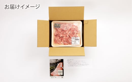 【6回定期便】 佐賀牛 切り落とし (小間切) 900g (300g×3P) 【一ノ瀬畜産】 [NAC138] 肉 精肉 牛肉 佐賀牛 佐賀県産 黒毛和牛