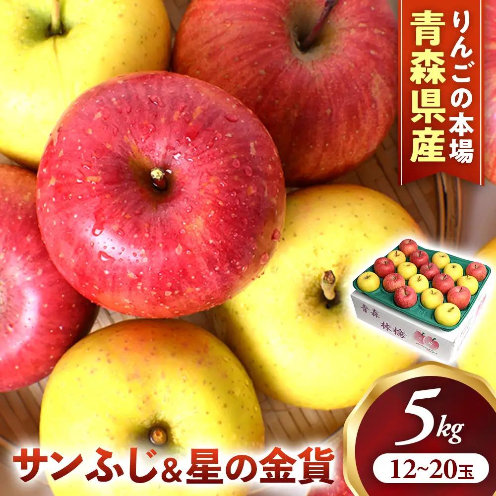 青森県産りんご サンふじ＆星の金貨 セット 約5kg 11月中旬～