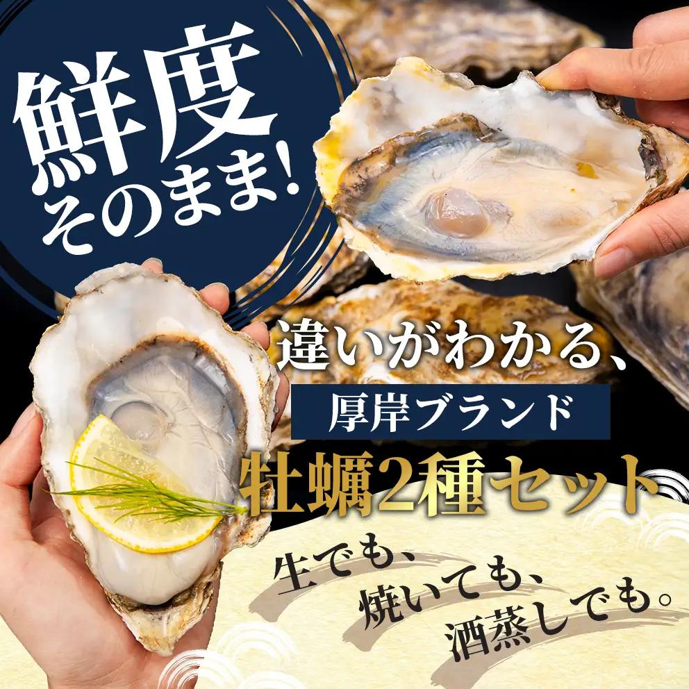 2か月 定期便 北海道 厚岸産 殻付牡蠣の食べ比べセット！（生食用）  牡蠣 カキ かき 生食 生食用 生牡蠣  食べ比べ 魚貝類 