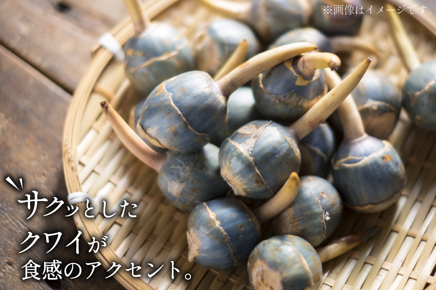 海老 カツレツ 5袋 計10個入 [斉吉商店 宮城県 気仙沼市 20565797] おかず 惣菜 エビ エビカツ えび カツ お弁当 サンドイッチ 弁当 揚げ物 フライ