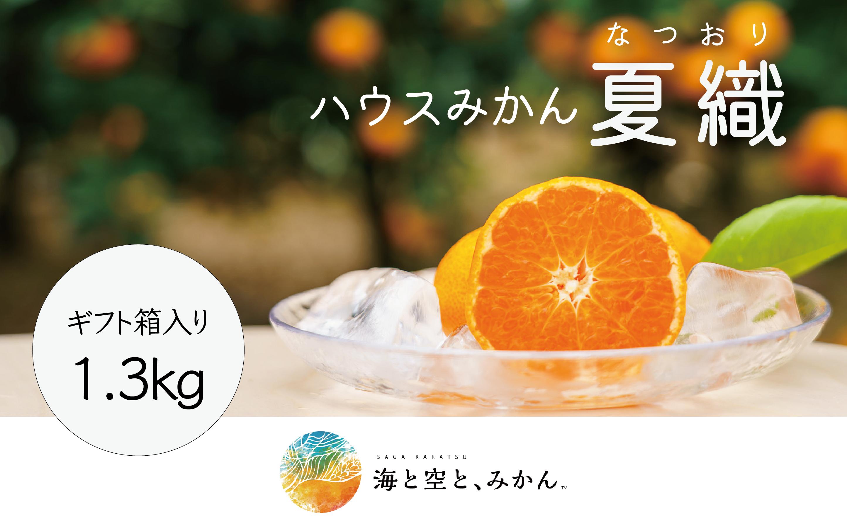
            大場農園 ハウスみかん「夏織」1.3kg ギフト箱入
          