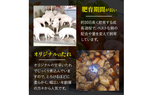 日本ギフト大賞・高知賞受賞　四万十ポークのとろとろチャーシューセット ／Adf-A27