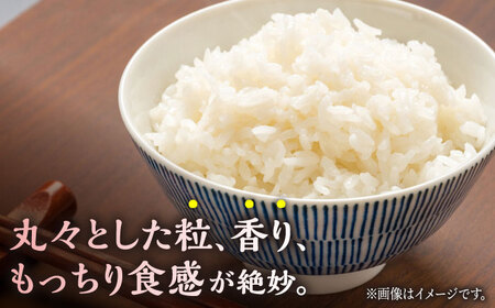 【3回定期便】 にこまる 白米 5kg 【竹下農園】[ZEL019]