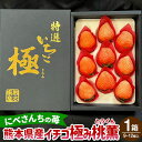 【ふるさと納税】にべさんちの苺 熊本県産 イチゴ 極み 桃薫(とうくん) 1箱(9～12個) 苺 いちご 果物 果実 フルーツ くだもの 冷蔵 九州 熊本県 送料無料 【2025年1月下旬発送開始】