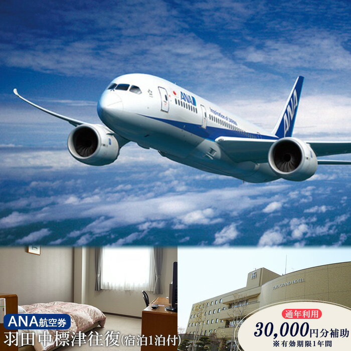 【ふるさと納税】ANA航空券 通年利用 補助券 30,000円分 羽田空港 中標津空港 往復 ANA 宿泊付き 1泊 北海道 旅行 チケット 北海道旅行トラベル 宿泊 観光 ふるさと納税 中標津町 中標津【2300301】