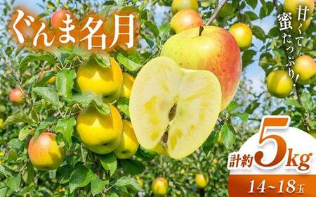 【2026年先行予約】信州産 塩尻エールりんご！農家さん応援♪♪ 果汁たっぷり ぐんま名月 約5kg（14～18玉）11月上旬～11月下旬頃にかけて順次発送予定訳あり
