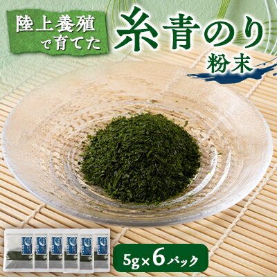 【ふるさと納税】陸上養殖あおのり(粉末)　5g×6パック【1542687】
