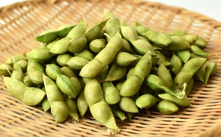 《 先行予約 》丹波黒枝豆 さや 1.5kg（京都 京丹波町産 丹波黒大豆）≪秋だけの期間限定 数量限定≫【季節限定 おつまみ 枝豆 えだまめ 地域限定 黒豆 ご当地グルメ 特産品】※北海道・沖縄・そ