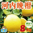 【 ふるさと納税 】訳あり 河内晩柑 8kg 7000円 みかん かわちばんかん 愛南ゴールド あいなん ゴールド 美生柑 文旦 グレープフルーツ 和製 家庭用 産地直送 国産 期間限定 数量限定 ビタミン ジュース 人気 さわやか フルーツ 果物 柑橘 規格外 愛媛県 愛南町 塚岡農園