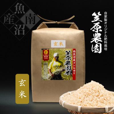 ふるさと納税 南魚沼市 令和7年産 南魚沼産 笠原農園米 コシヒカリ 玄米 5kg