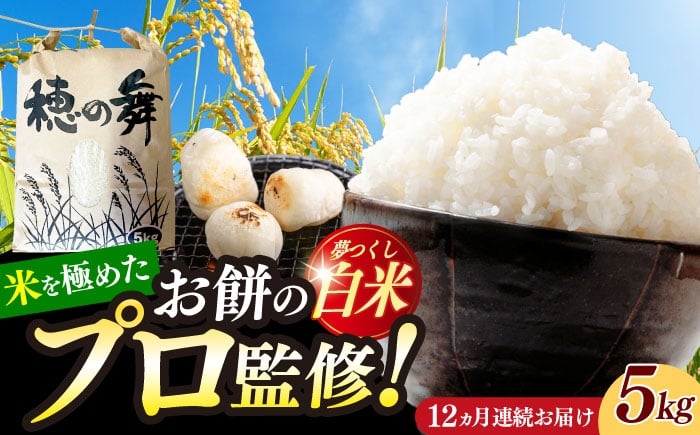 
                  【12回定期便】令和7年度産 精米 夢つくし 5kg /築上町【アルク農業サービス合同会社】 米 こめ 白米 [ABAB010]
                