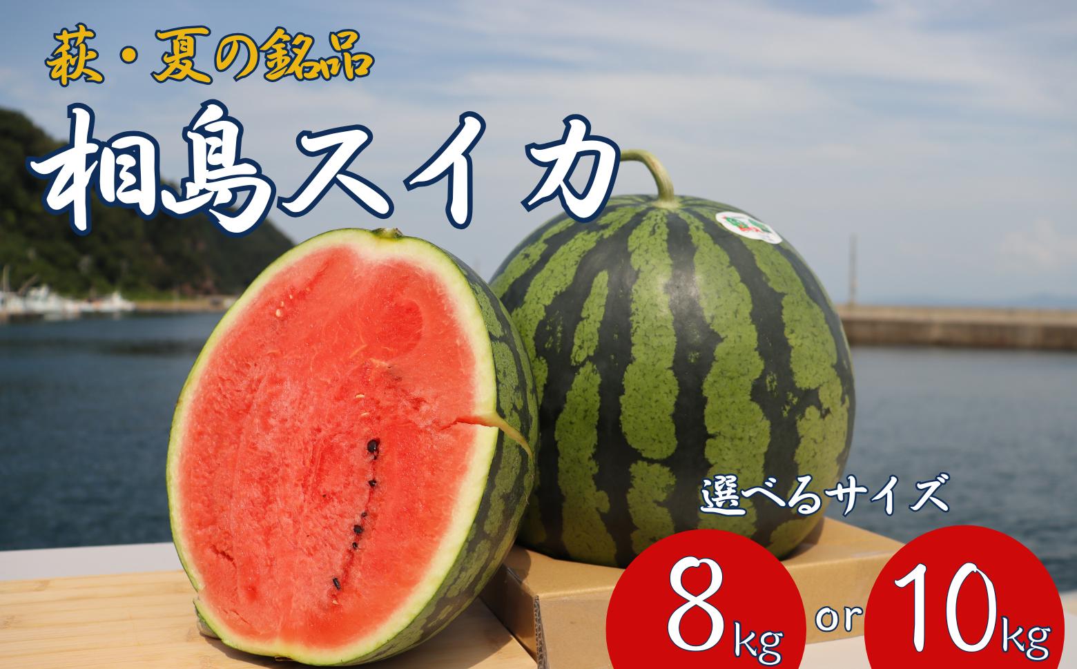 
                  スイカ 萩・夏の銘品 相島 西瓜 秀品  約8kg～10kg 大玉すいか フルーツ 果物 果物類 贈答品 ギフト
                