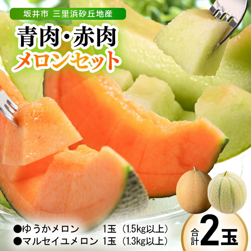 【ふるさと納税】【先行予約】 三里浜砂丘地産「ゆうかメロン」1玉：1.5kg以上 (青肉系メロン) と マルセイユメロン 1玉：1.3kg以上 (赤肉メロン) セット 【2026年6月上旬以降順次発送予定】【メロン めろん フルーツ デザート 果物 くだもの 果実 糖度 甘い 産地直送 】