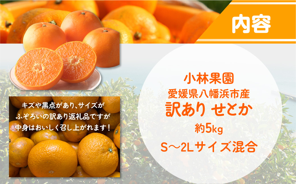 【先行受付】★訳アリ★【数量限定500箱】　愛媛・小林果園のせとか　約5キロ【D24-38】 YWTAD029