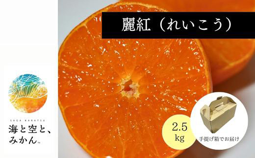 
唐津産ハウス育ち「麗紅」2.5kg 手提げ箱入り
