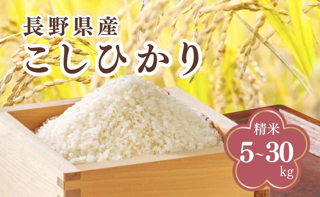 
            コシヒカリ 精米 5kg/10kg/30kg 令和7年産｜ 白米 コメ ごはん 千曲市 長野県 信州
          