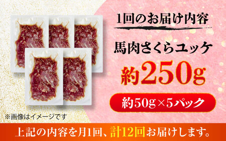 【全12回定期便】馬肉さくらユッケ 約250g(約50g×5パック) / 馬肉 ユッケ 馬刺しユッケ 小分け 生食用 熊本肥育 桜ユッケ 馬刺し 熊本県 おつまみ 晩酌 菊陽町【五右衛門フーズ】[BH