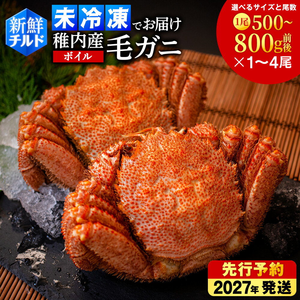 【ふるさと納税】【2027年発送予約】【チルドでお届け！】稚内産ボイル毛ガニ 選べる1～4尾 （500g前後・800g以上）ボイル 毛がに 毛ガニ 毛蟹 ボイル 蟹 カニ 未冷凍 冷蔵 北海道ふるさと納税 稚内 ふるさと納税 北海道 【配送不可地域：離島・沖縄県】