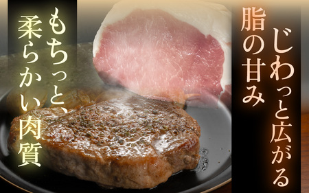 プレミアム能登豚「豚輝」焼肉用 2種セット 計1.2kg | お肉 ブランド豚