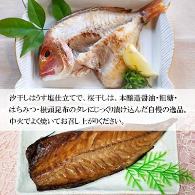 ふるさと納税 長崎市 【2ヵ月毎定期便】長崎五島灘荒波セット全6回 |  | 01