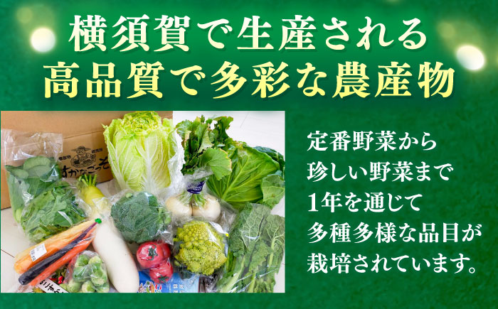 【全3回定期便】よこすか野菜セット すかなボックス 【JAよこすか葉山】 [AKFO007]