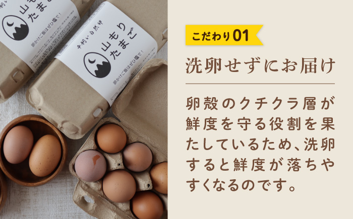 【6ヶ月定期便】平飼い 山もりたまご 20個 安心安全 おいしさに感動 たまご 卵 高級卵 平飼い 安心安全 飼料にこだわり 成長剤 ホルモン剤 添加物不使用 6回定期便