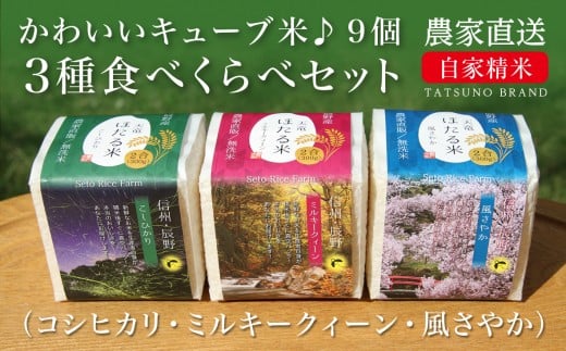 11-34　キューブ米♪3種食べ比べセット（全9個）令和6年産１０月中旬発送　先行予約