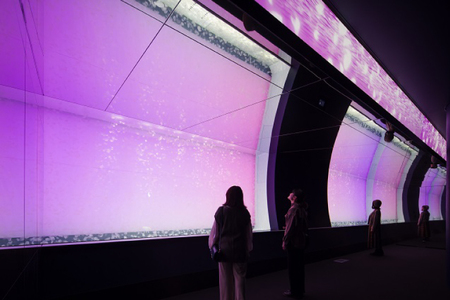 【仮予約必須】 アクアワールド 茨城県 大洗 水族館 貸し切り プラン (3時間) プロポーズ ウェディング フォト ユニークベニュー ショートプラン 貸切_BR005