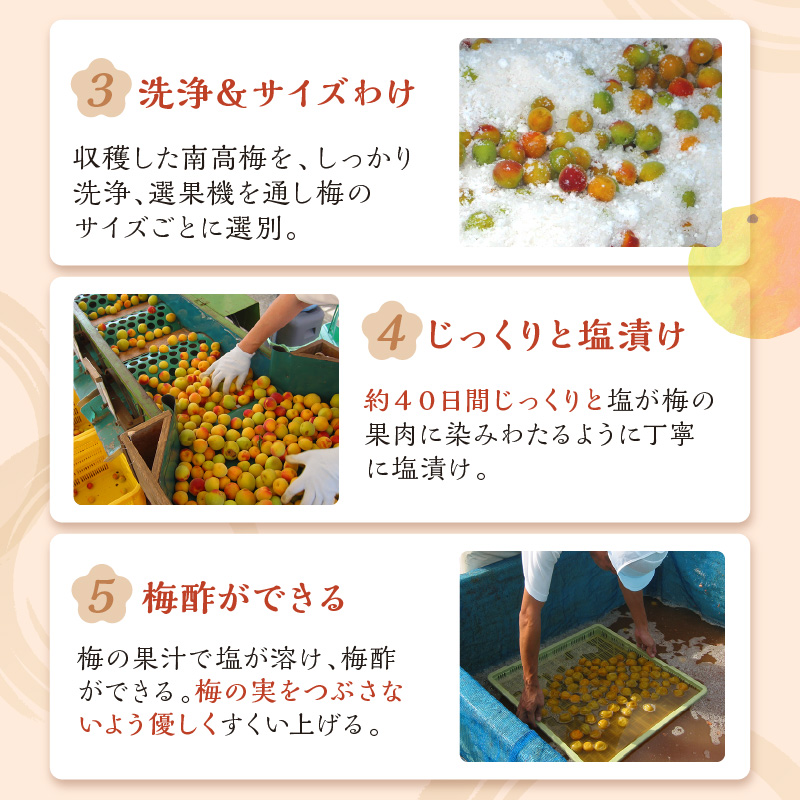 紀州南高梅 はちみつ梅(塩分8%) 2kg（和歌山県産）