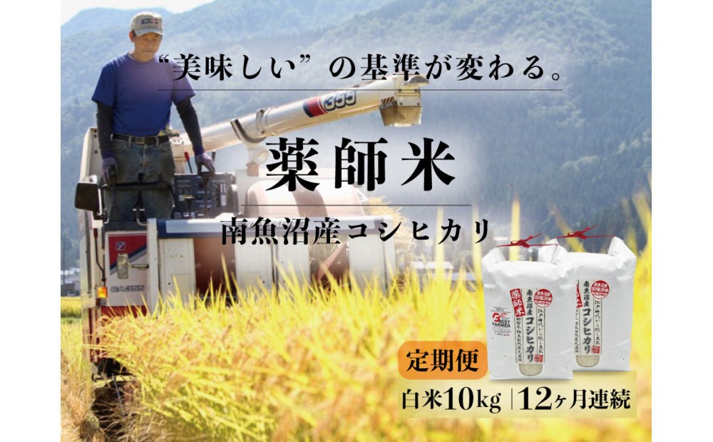 
                  定期便全12回【南魚沼市食味コンテスト優秀賞】南魚沼産コシヒカリ 白米10kg(5kg×2) ｜薬師米 令和7年産
                