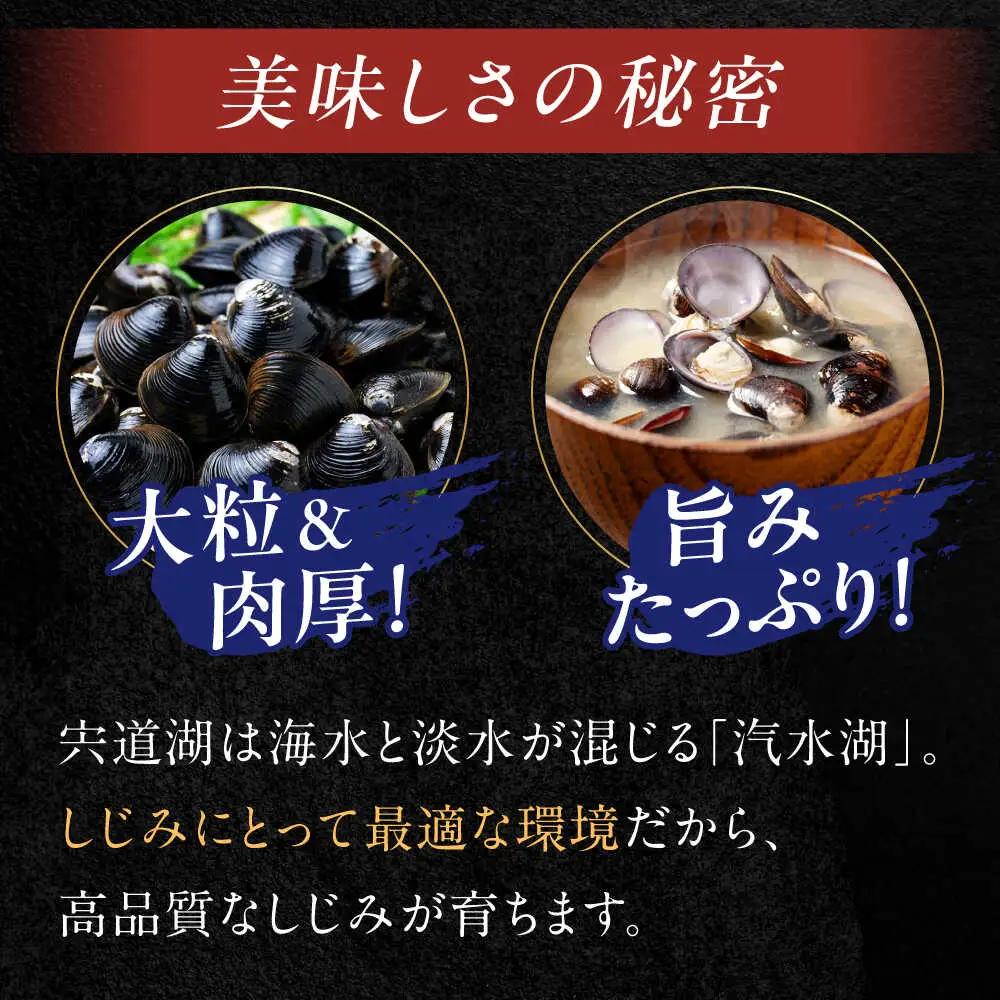しじみ 【全3回定期便】生産量日本一！宍道湖産 ヤマトシジミLサイズ（真空冷凍） 80g×15袋 島根県松江市/有限会社日本シジミ研究所[ALBS006] しじみ しじみ