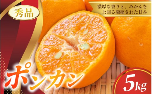 【先行予約】秀品 ポンカン 5kg 【S~2Lのサイズおまかせ】 【2026年10月中旬から1月下旬頃に順次発送】＜味好農園＞/ ぽんかん 蜜柑 みかん 柑橘 果物 フルーツ 【agy008-p-5】