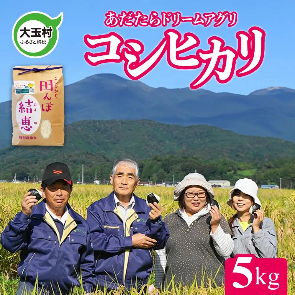 【令和７年産】特別栽培米 コシヒカリ 5kg