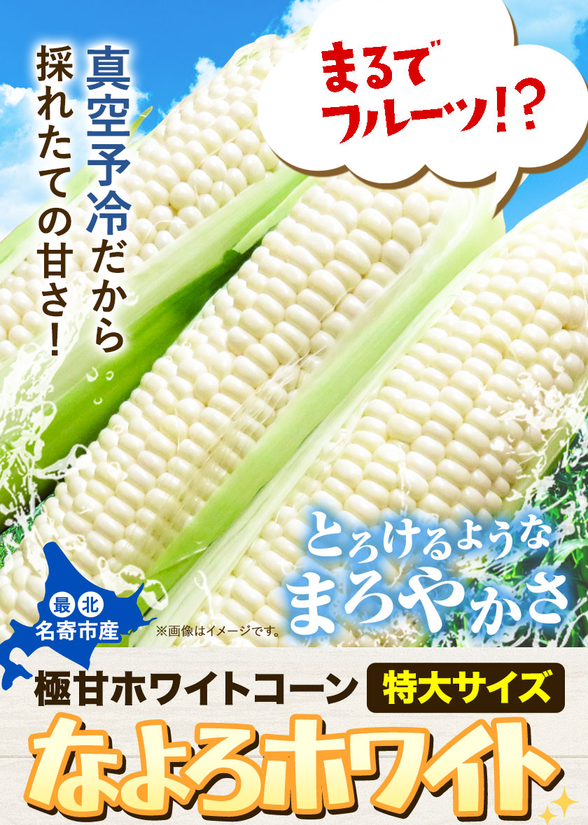 【特大】 とうもろこし 極甘 ホワイトコーン 「 なよろホワイト 」 5kg 以上 12～13本 特大 サイズ《 7月 下旬- 9月 中旬頃出荷予定》 朝採れ 真空予冷 冷蔵 高糖度 先行予約 夏野菜