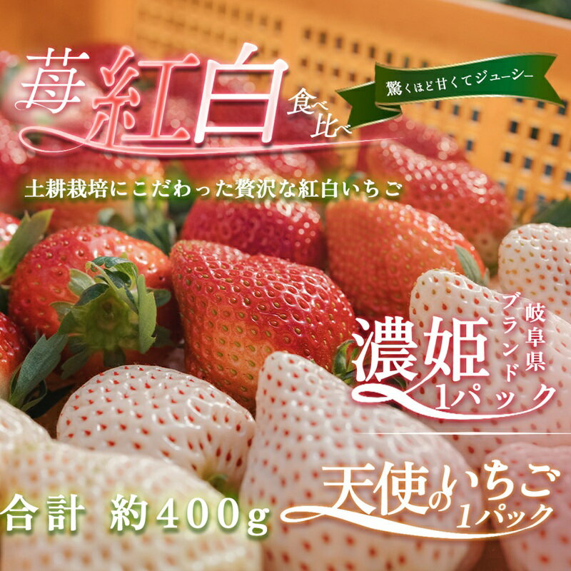 【ふるさと納税】天使のいちご 紅白セット 苺 約400g いちご 詰め合わせ セット 岐阜県 海津市　お届け：2027年1月20日～2027年3月30日