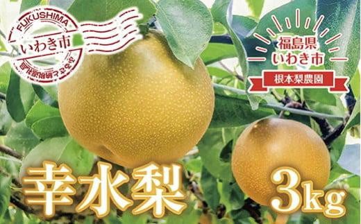 
                  【先行予約】　梨（ 幸水 ）約 3kg 梨 なし nashi nasi 先行予約 数量限定 フルーツ 果物 産地直送 限定品 贈り物 新鮮 お取り寄せ デザート ギフト 風味豊か 香り 上品 地域 甘い 限定 果樹 果樹園 根本果樹園 福島県 いわき市 ふるさと納税 おすすめ 
                