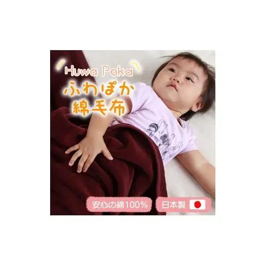 N158　七色　シール織　ハーフケット　エンジ